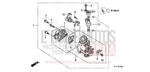 CORPS DE PAPILLON ANF1257 de 2007